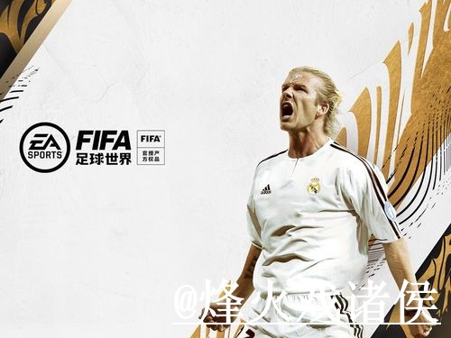 2026世界杯盘口平台APP和网页版对比,水位变化参考 2026世界杯盘口平台APP和网页版对比,水位变化参考